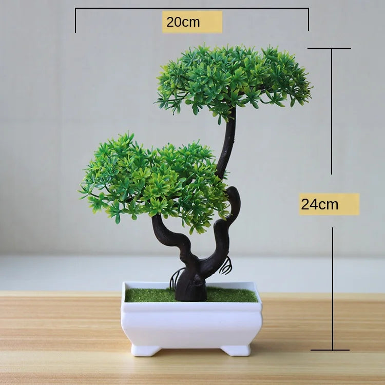 Skanto | Small Wooden Pot Bonsai Planter