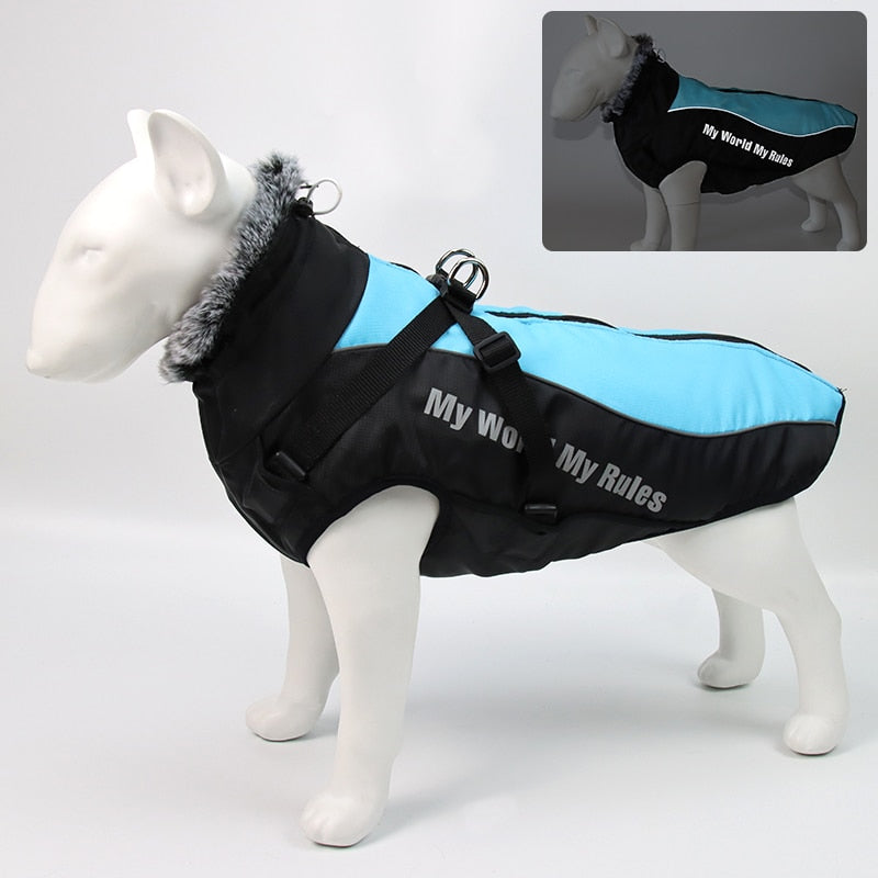 BowLift | Waterproof Winter Dog Jackets