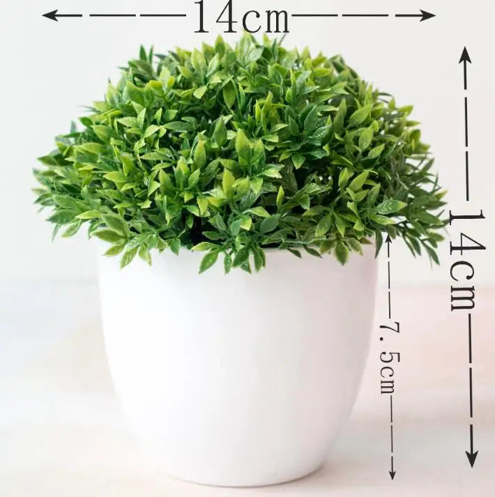 Skanto | Small Wooden Pot Bonsai Planter