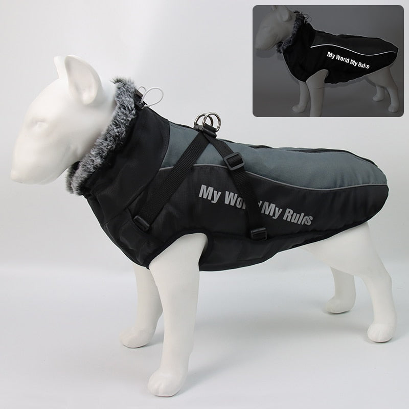 BowLift | Waterproof Winter Dog Jackets