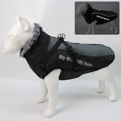 BowLift | Waterproof Winter Dog Jackets