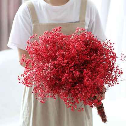 Skanto Skanto | Dried Preserved Gypsophila Flower Bunch – Natural Decor