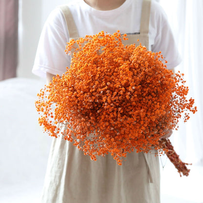 Skanto Skanto | Dried Preserved Gypsophila Flower Bunch – Natural Decor