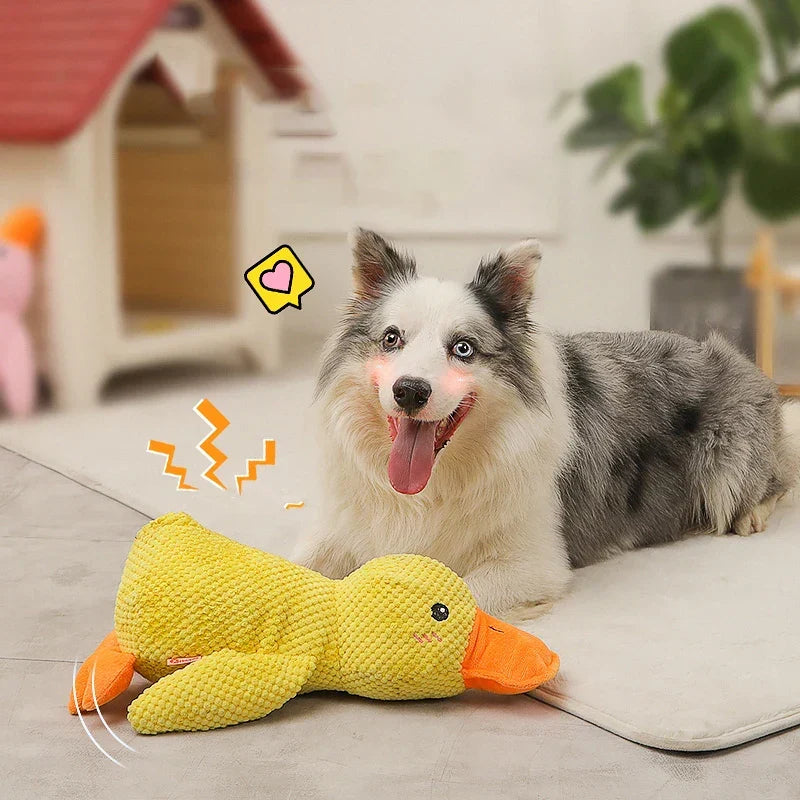 Skanto | Calming Duck for Dogs