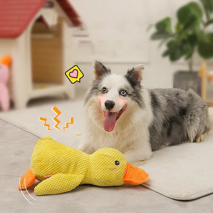 Skanto | Calming Duck for Dogs