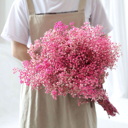 Skanto Skanto | Dried Preserved Gypsophila Flower Bunch – Natural Decor