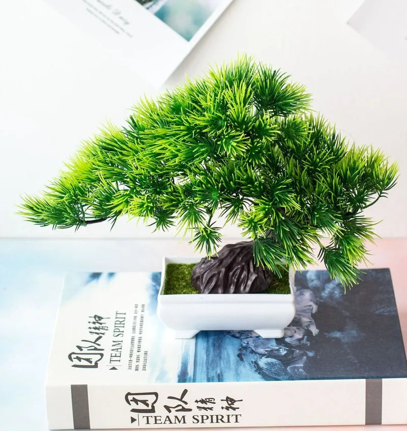 Skanto | Small Wooden Pot Bonsai Planter