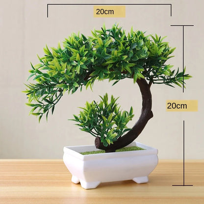 Skanto | Small Wooden Pot Bonsai Planter