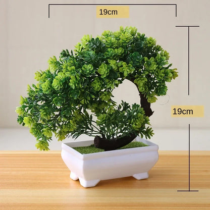 Skanto | Small Wooden Pot Bonsai Planter