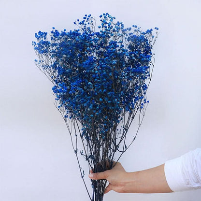 BowLift | Dried Preserved Gypsophila Flower Bouquet – Natural Decor