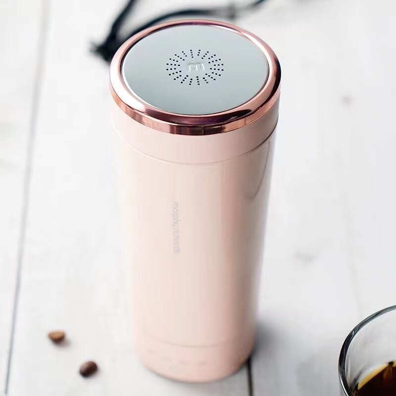 BowLift | Portable Electric Stainless Steel Kettle