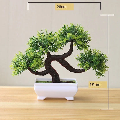 Skanto | Small Wooden Pot Bonsai Planter