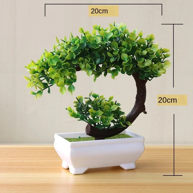 Skanto | Small Wooden Pot Bonsai Planter