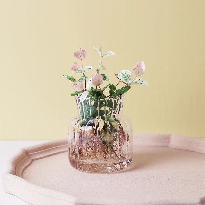 Glass Vase (Various Shape) | Bowlift