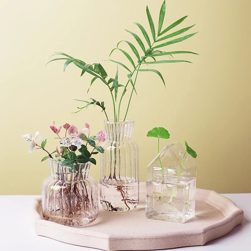 Glass Vase (Various Shape) | Bowlift