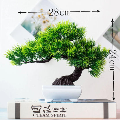 Skanto | Small Wooden Pot Bonsai Planter