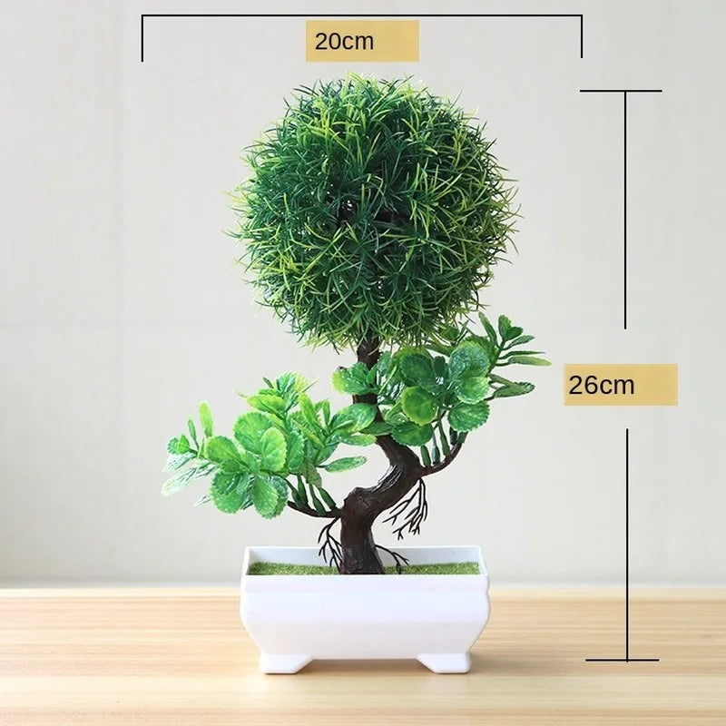 Skanto | Small Wooden Pot Bonsai Planter