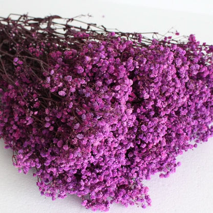 Skanto Skanto | Dried Preserved Gypsophila Flower Bunch – Natural Decor