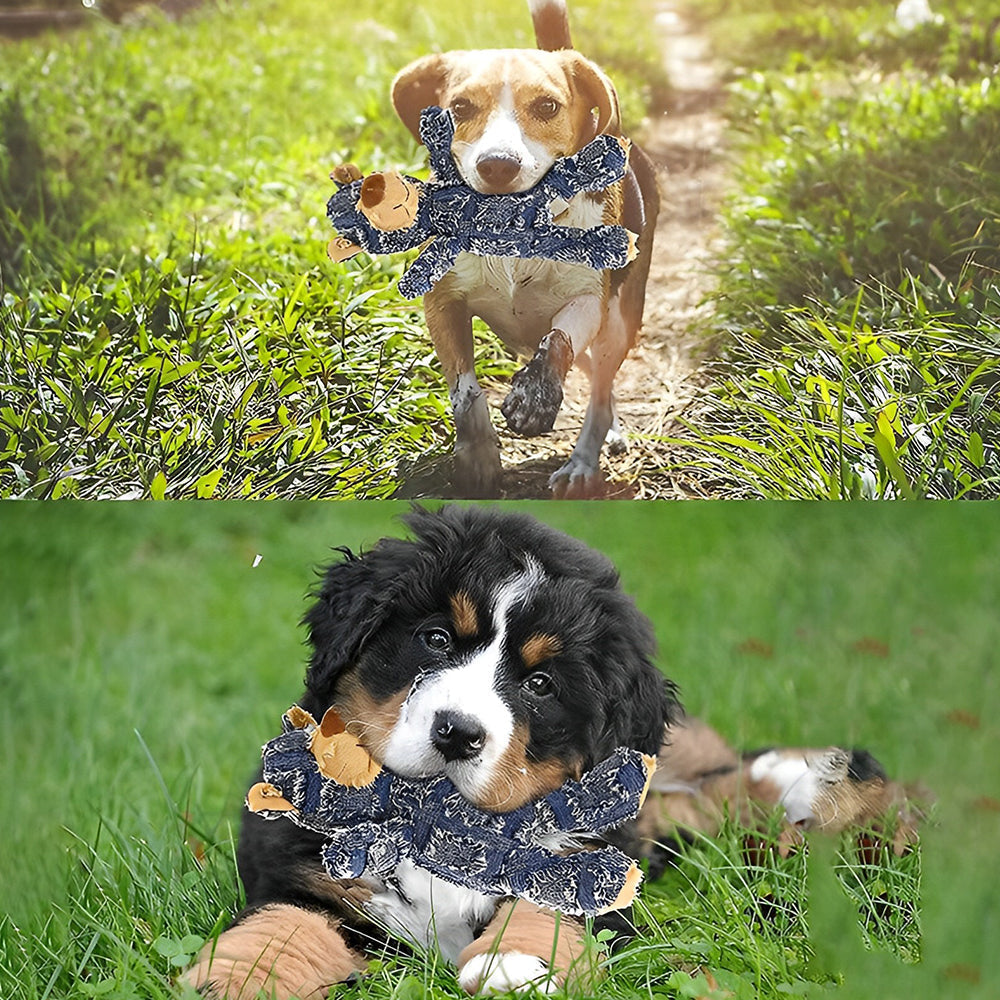 Karnz | Indestructible Robust Bear