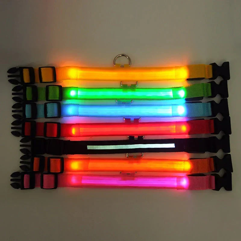 Skanto | Skanto GlowPets LED Collar – Pet Safety & Visibility