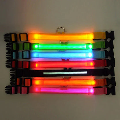 Skanto | Skanto GlowPets LED Collar – Pet Safety & Visibility