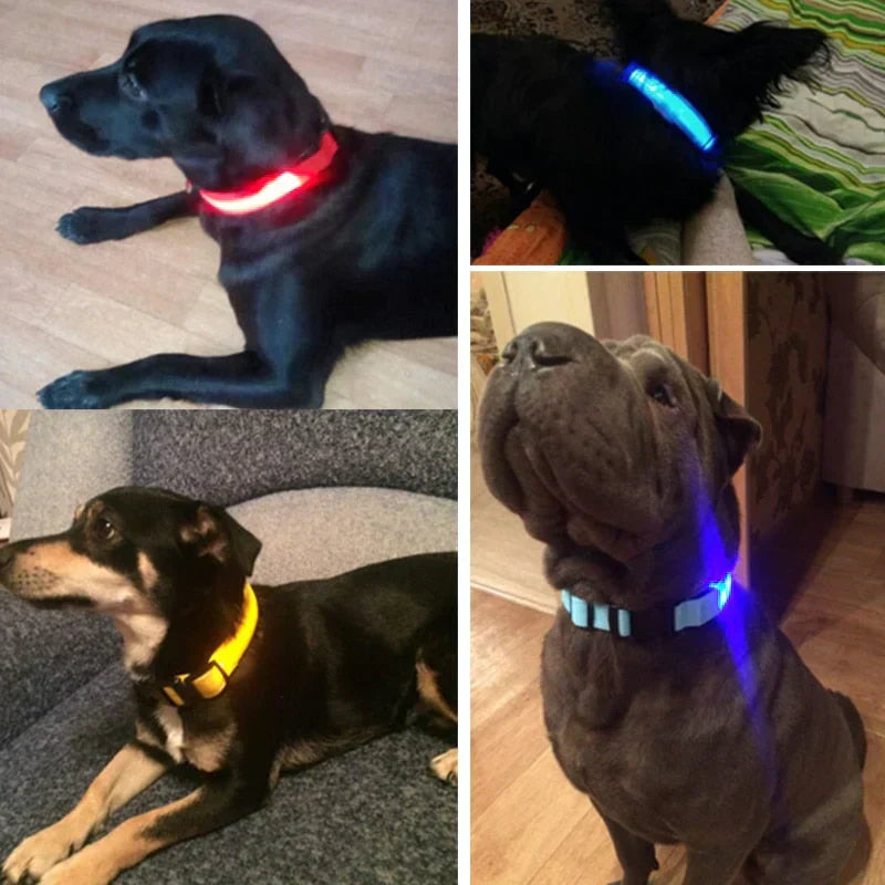 Skanto | Skanto GlowPets LED Collar – Pet Safety & Visibility