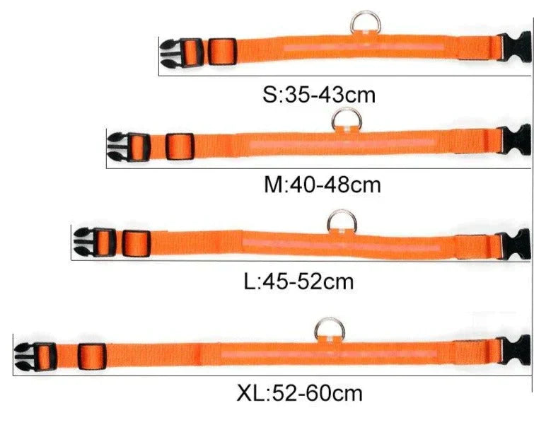 Skanto | Skanto GlowPets LED Collar – Pet Safety & Visibility