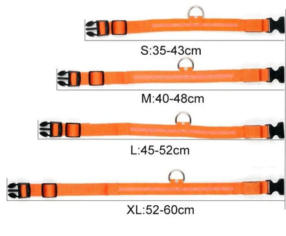 Skanto | Skanto GlowPets LED Collar – Pet Safety & Visibility
