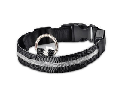 Skanto | Skanto GlowPets LED Collar – Pet Safety & Visibility