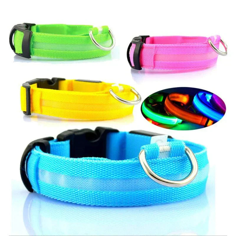 Skanto | Skanto GlowPets LED Collar – Pet Safety & Visibility