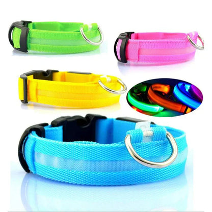 Skanto | Skanto GlowPets LED Collar – Pet Safety & Visibility