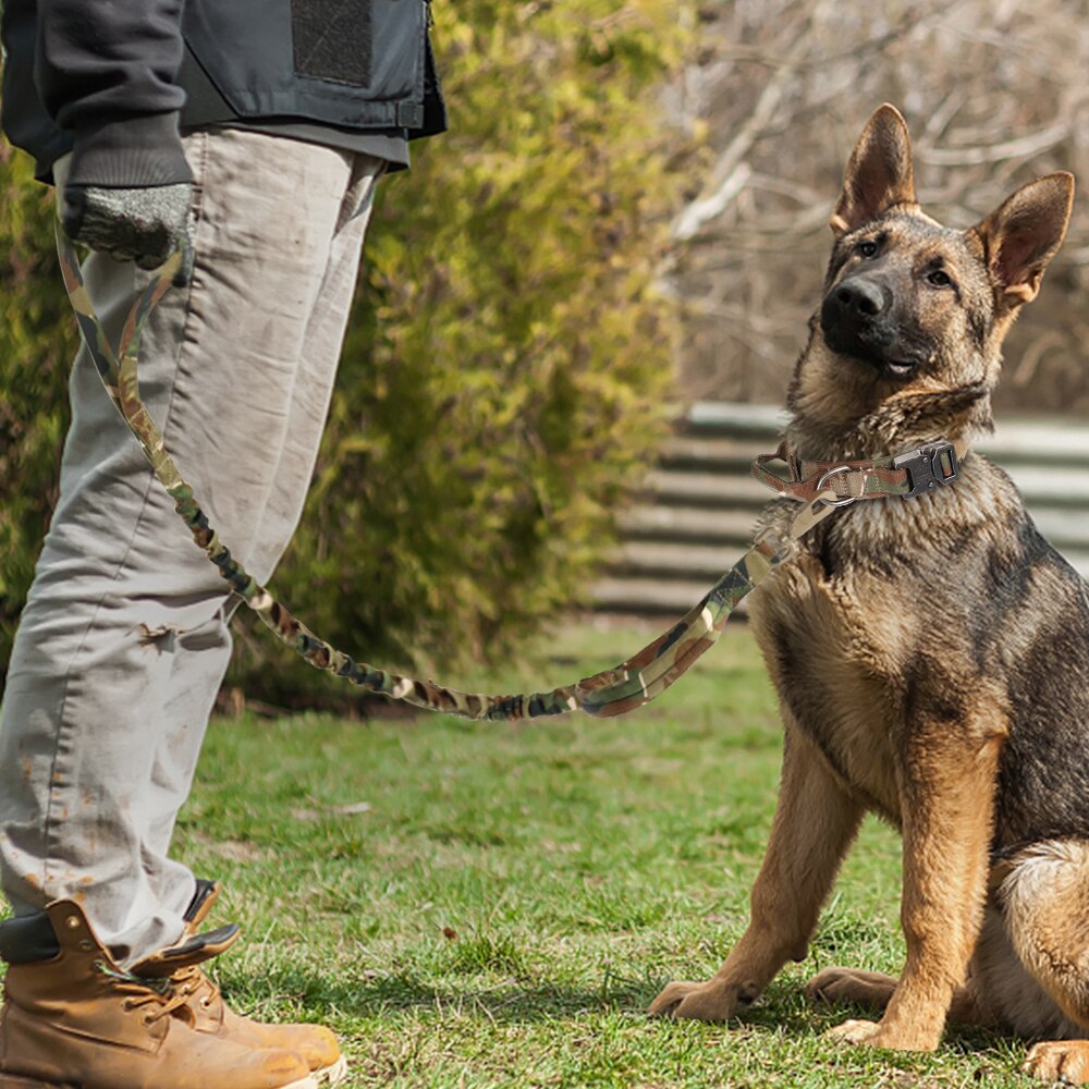 Skanto | Taktisk Hundehalsbånd
