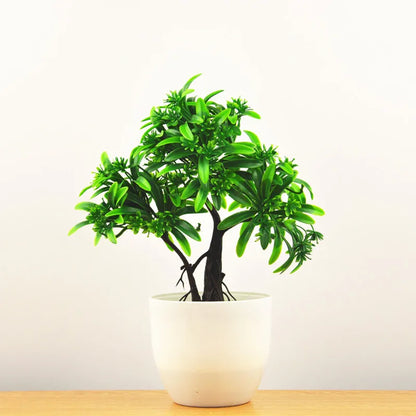 Skanto | Small Wooden Pot Bonsai Planter