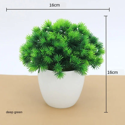 Skanto | Small Wooden Pot Bonsai Planter