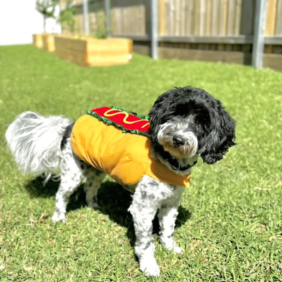 BowLift | Halloween Hot Dog Pet Costume
