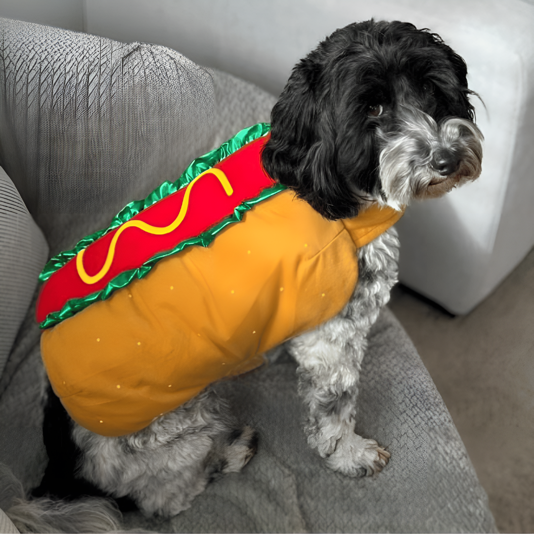 BowLift | Halloween Hot Dog Pet Costume