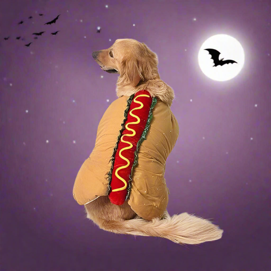 BowLift | Halloween Hot Dog Pet Costume