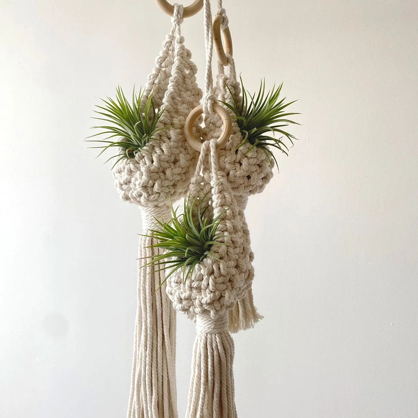 Skanto | Handmade Macrame Air Plant Hanging Basket