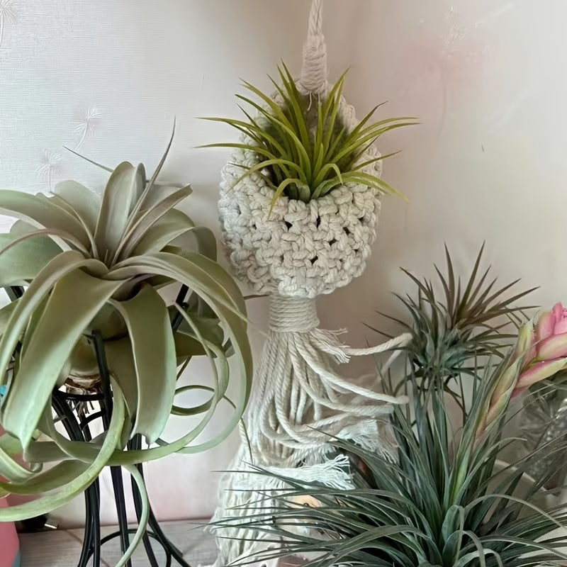 Skanto | Handmade Macrame Air Plant Hanging Basket