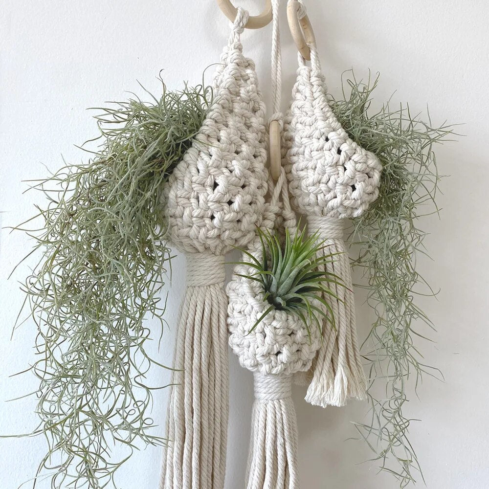 Skanto | Handmade Macrame Air Plant Hanging Basket
