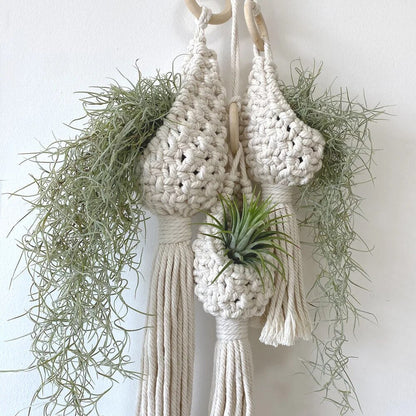 Skanto | Handmade Macrame Air Plant Hanging Basket