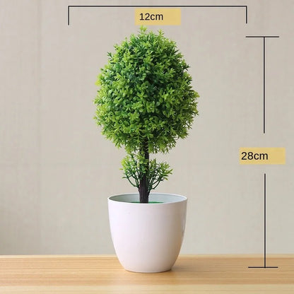 Skanto | Small Wooden Pot Bonsai Planter