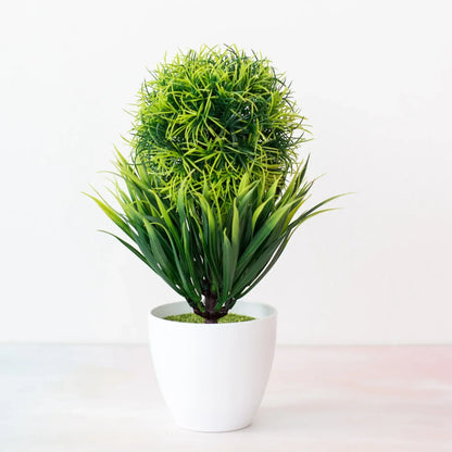 Skanto | Small Wooden Pot Bonsai Planter