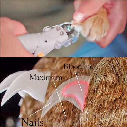 Dog Nail Clippers | Safe Toe Nail Clippers