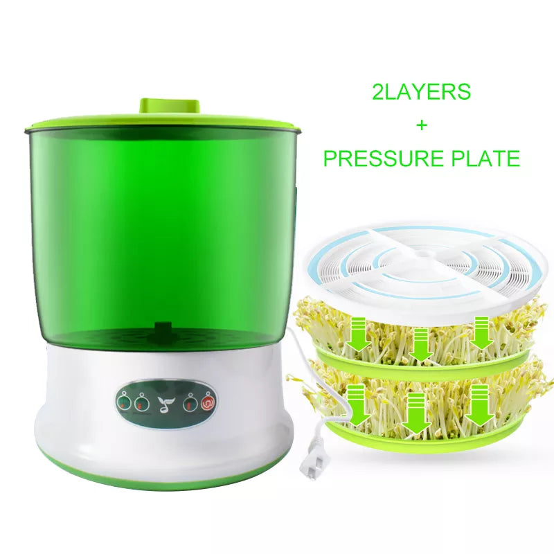 Intelligent Sprout Grower - Automatic Electric Growth Container for Green Vegetable Seeds - Thermostat Germinator