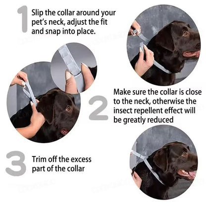 Skanto | PAWTECT - Anti-Tick and Flea Collar