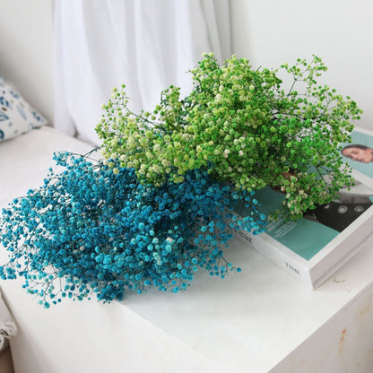 Skanto Skanto | Dried Preserved Gypsophila Flower Bunch – Natural Decor