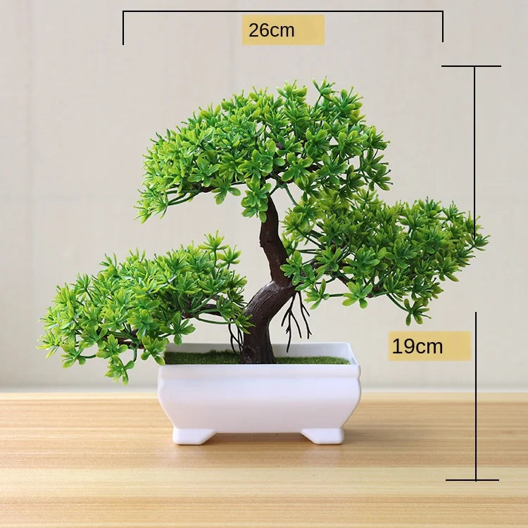 Skanto | Small Wooden Pot Bonsai Planter