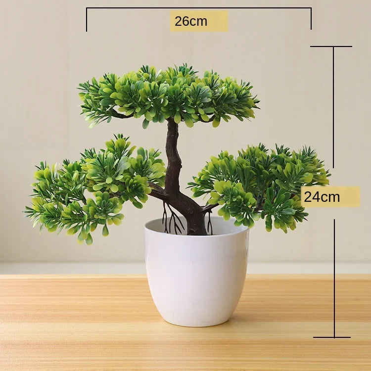 Skanto | Small Wooden Pot Bonsai Planter