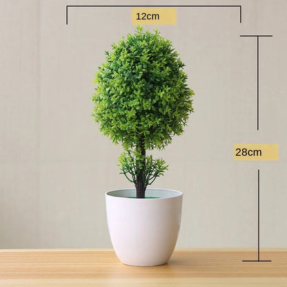 Skanto | Small Wooden Pot Bonsai Planter